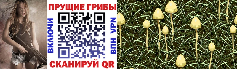 Псилоцибиновые грибы мицелий  кракен ONION  Реутов 